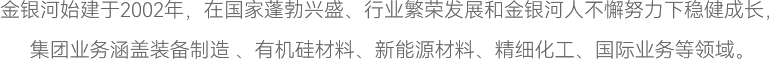 金銀河始建于2002年，在國(guó)家蓬勃興盛、行業(yè)繁榮發(fā)展和金銀河人不懈努力下穩(wěn)健成長(zhǎng)，
集團(tuán)業(yè)務(wù)涵蓋裝備制造 、有機(jī)硅材料、新能源材料、精細(xì)化工、國(guó)際業(yè)務(wù)等領(lǐng)域。